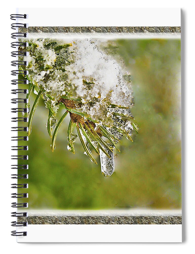 Ice Snow Crystals White Pine Tree Winter Spiral Notebook featuring the photograph Ice Drop by Shari Jardina