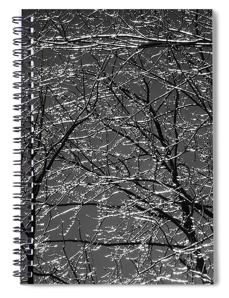 Winter Spiral Notebook featuring the photograph Ice Rain by Juergen Weiss