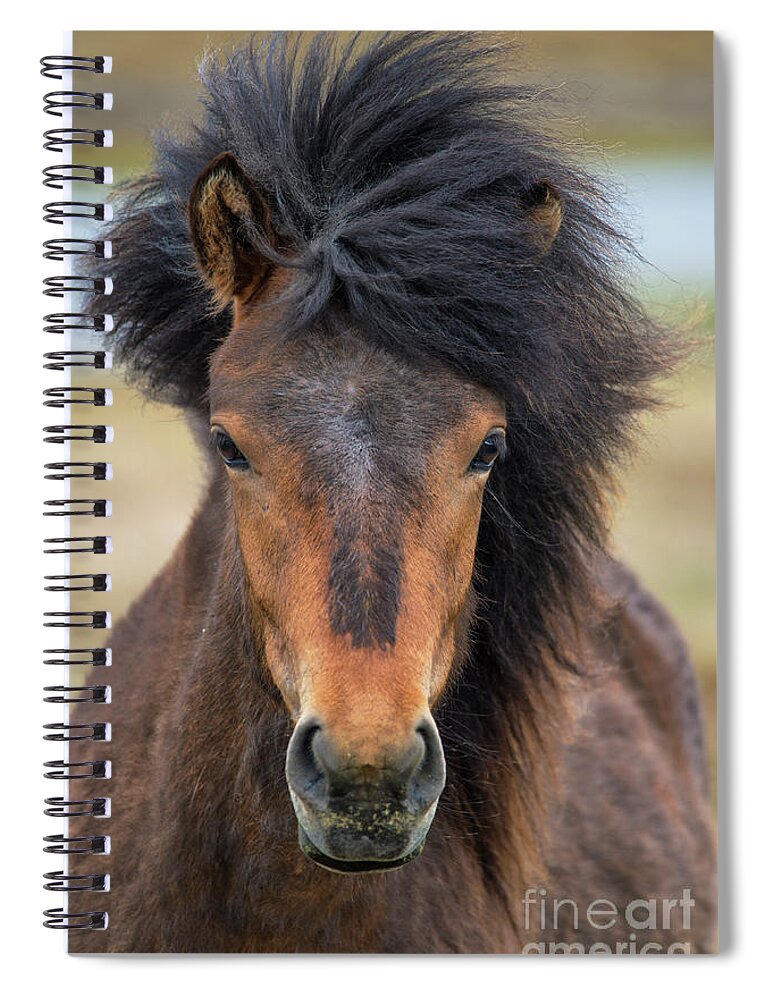 Festblues Spiral Notebook featuring the photograph Icelandic Equine Beauty.. by Nina Stavlund
