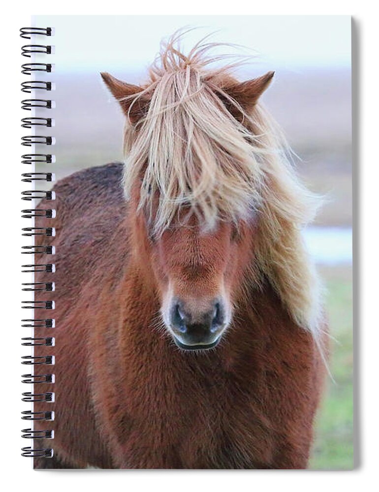 Icelandic Horse Spiral Notebook featuring the photograph Icelandic Horse 7137 by Jack Schultz