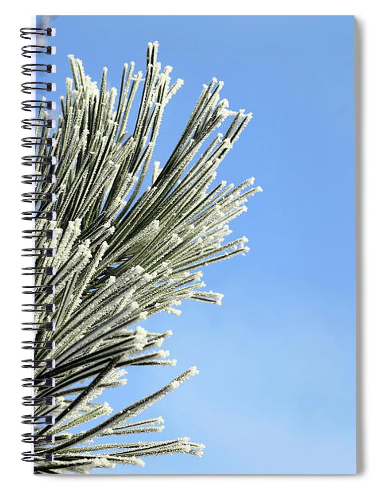 Needles Spiral Notebook featuring the photograph Icing on the needles by Michal Boubin