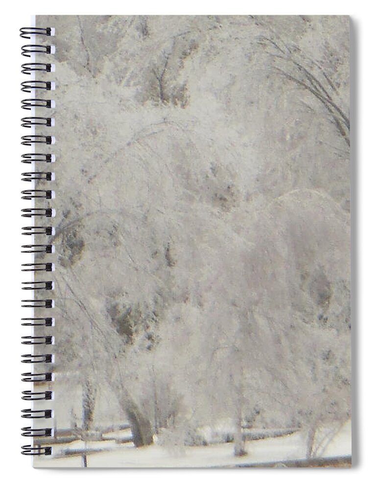 Icy Spiral Notebook featuring the photograph Icy Trees by Rockin Docks Deluxephotos