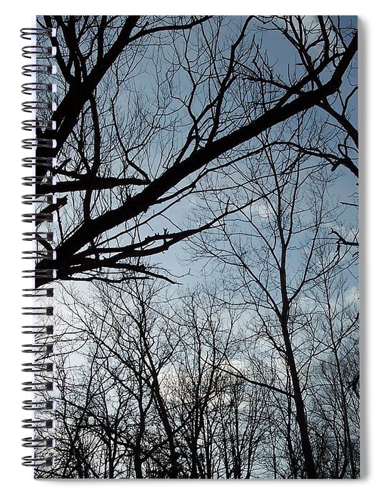 Tree Spiral Notebook featuring the photograph Icy Winter Sky by Michelle Miron-Rebbe