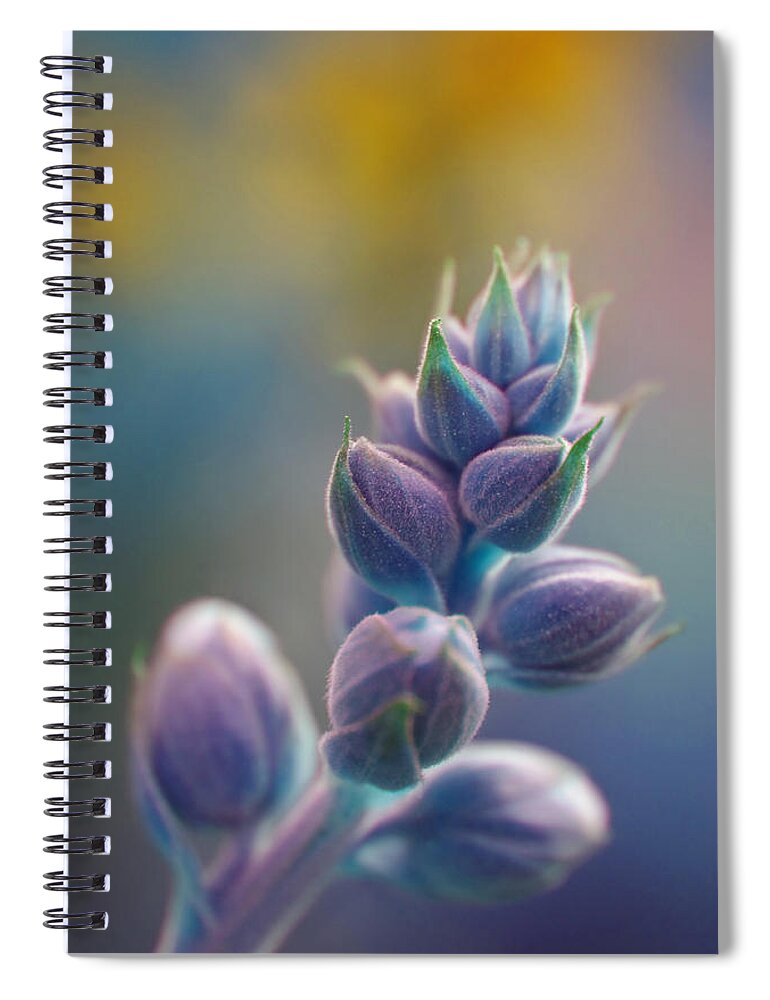 Adria Trail Spiral Notebook featuring the photograph If by Adria Trail