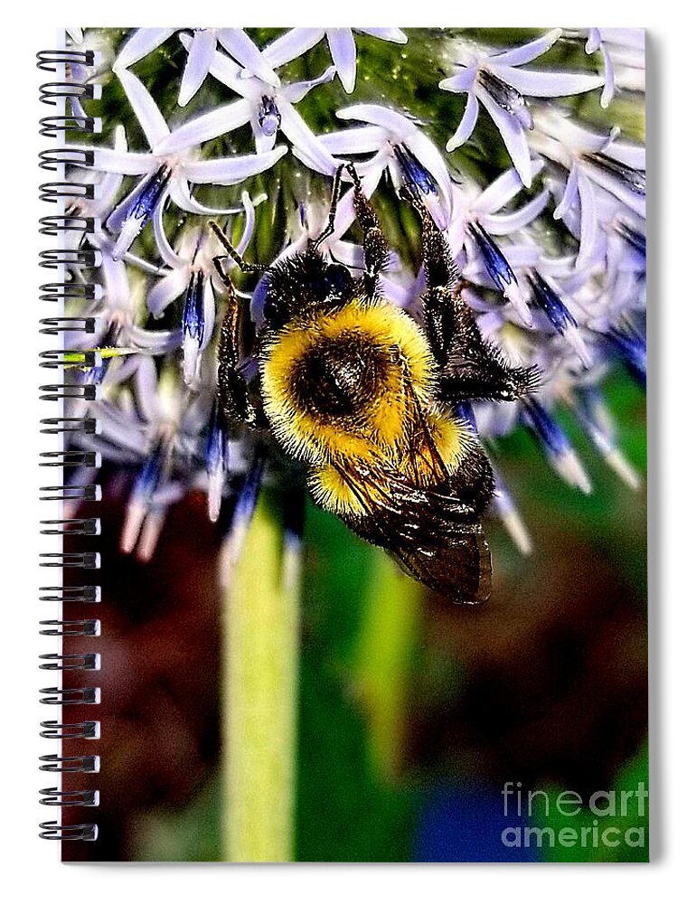 Sea Spiral Notebook featuring the photograph I'll Bee Back by Michael Graham