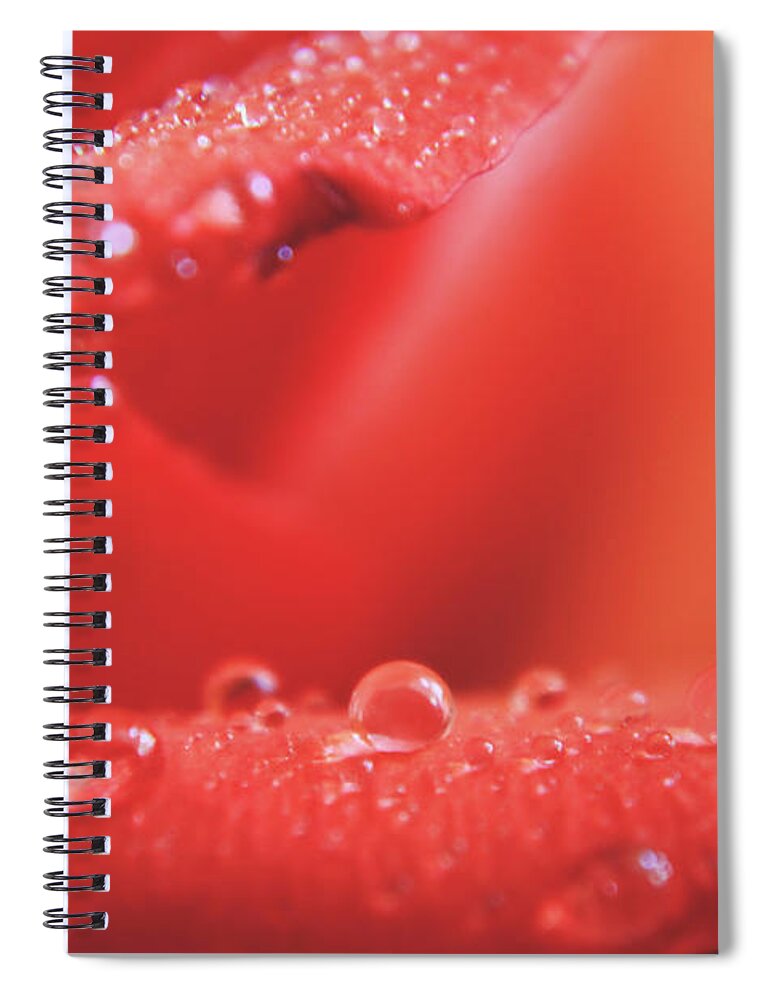 Flowers Spiral Notebook featuring the photograph I'll Miss You So by Laurie Search