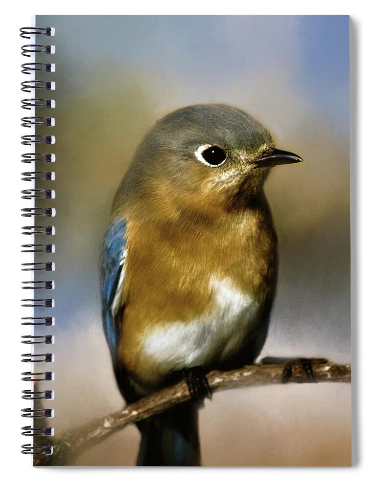 Animal Spiral Notebook featuring the photograph I'm a Bluebird by Lana Trussell