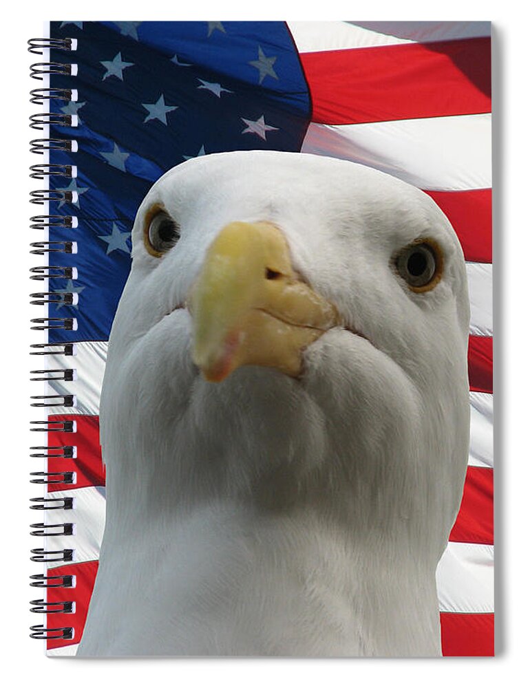 Darin Volpe Animals Spiral Notebook featuring the photograph I'm an Eagle, Dammit -- Western Gull and American Flag by Darin Volpe