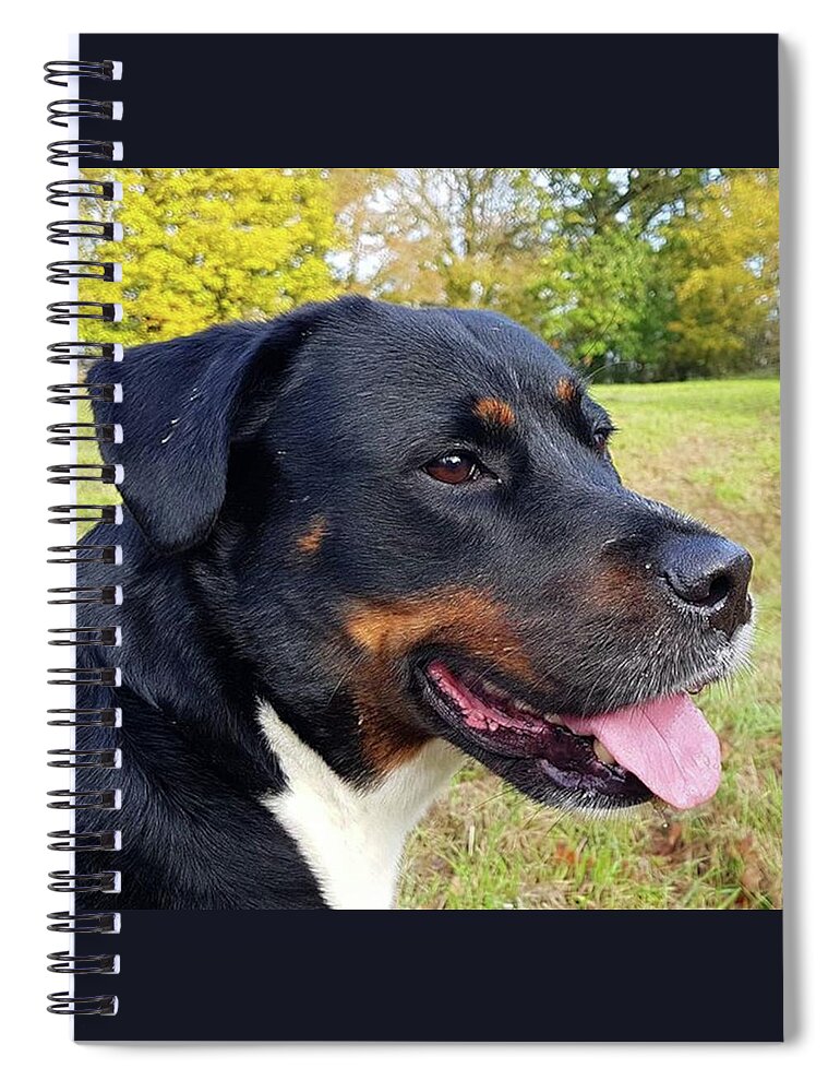 Bepresent Spiral Notebook featuring the photograph Out In Autumn by Rowena Tutty