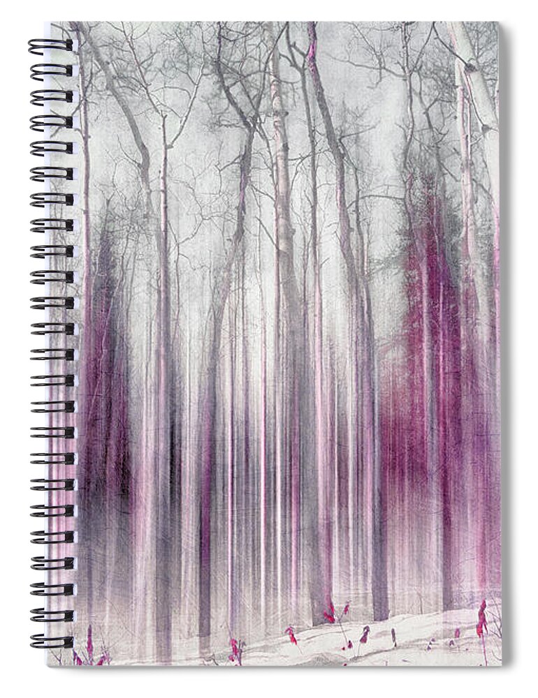Forest Spiral Notebook featuring the photograph Imagine the Silence by Priska Wettstein