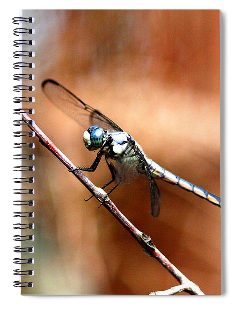 Dragonfly Spiral Notebook featuring the photograph IMG_6740 - Dragonfly by Travis Truelove