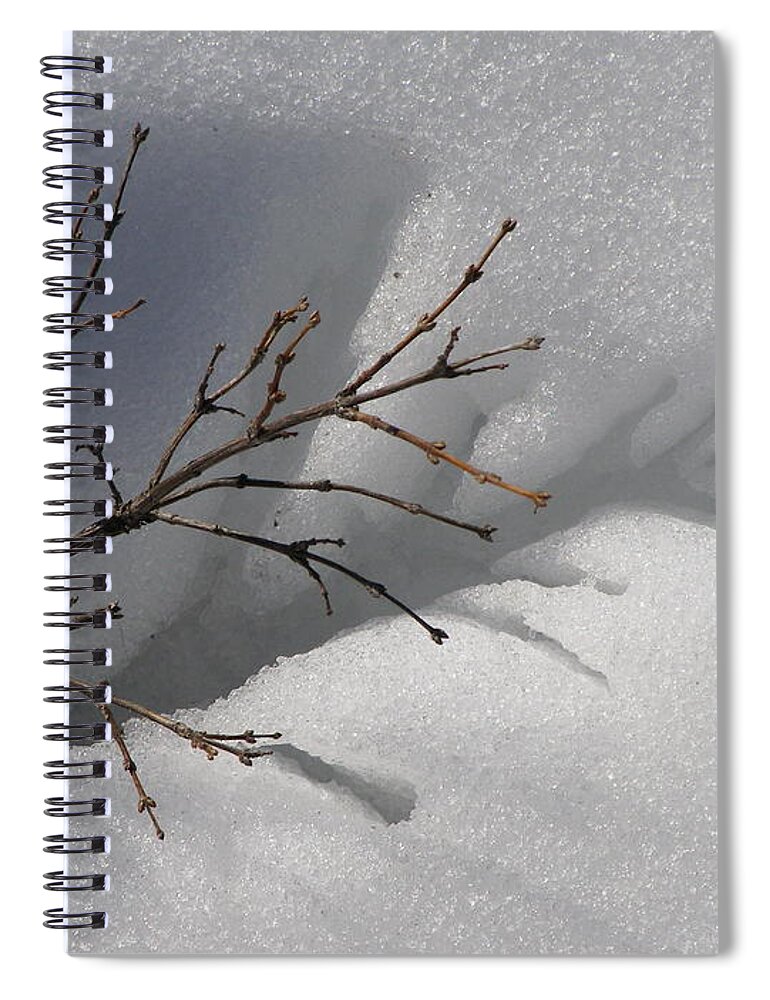Snow Spiral Notebook featuring the photograph Impressions by DeeLon Merritt