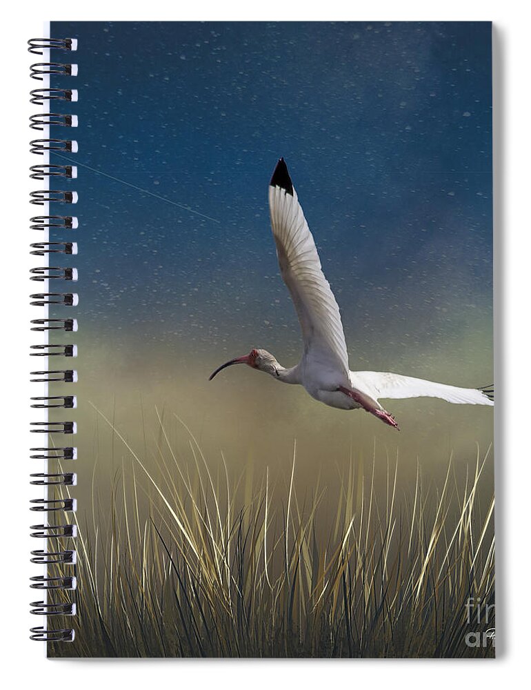  Spiral Notebook featuring the photograph In Flight 1 by Phil Mancuso