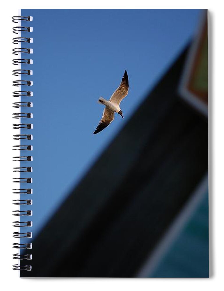 Seagull Spiral Notebook featuring the photograph In Flight by Robert Meanor