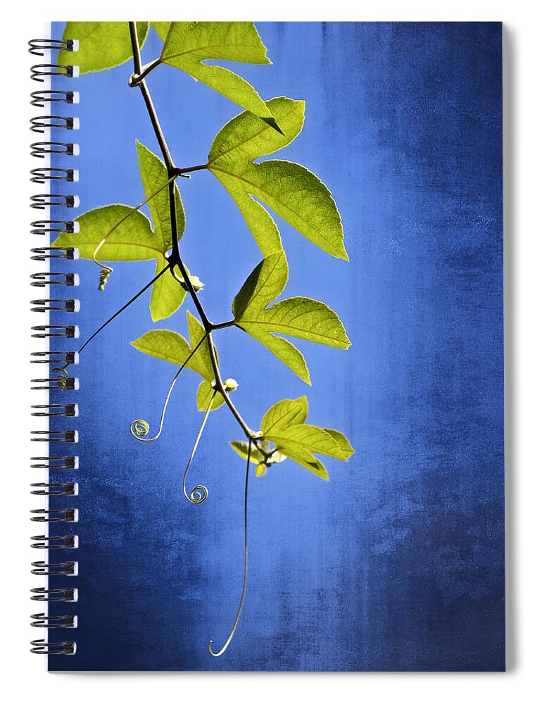 Leaves Spiral Notebook featuring the photograph In The Blue by Carolyn Marshall