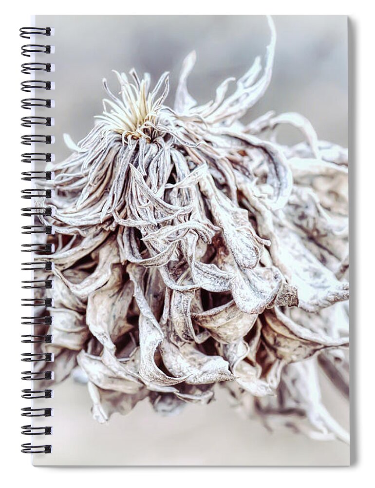 Plant Spiral Notebook featuring the photograph In The Forest Art Series - Summer Leftover 1 by Kerri Farley