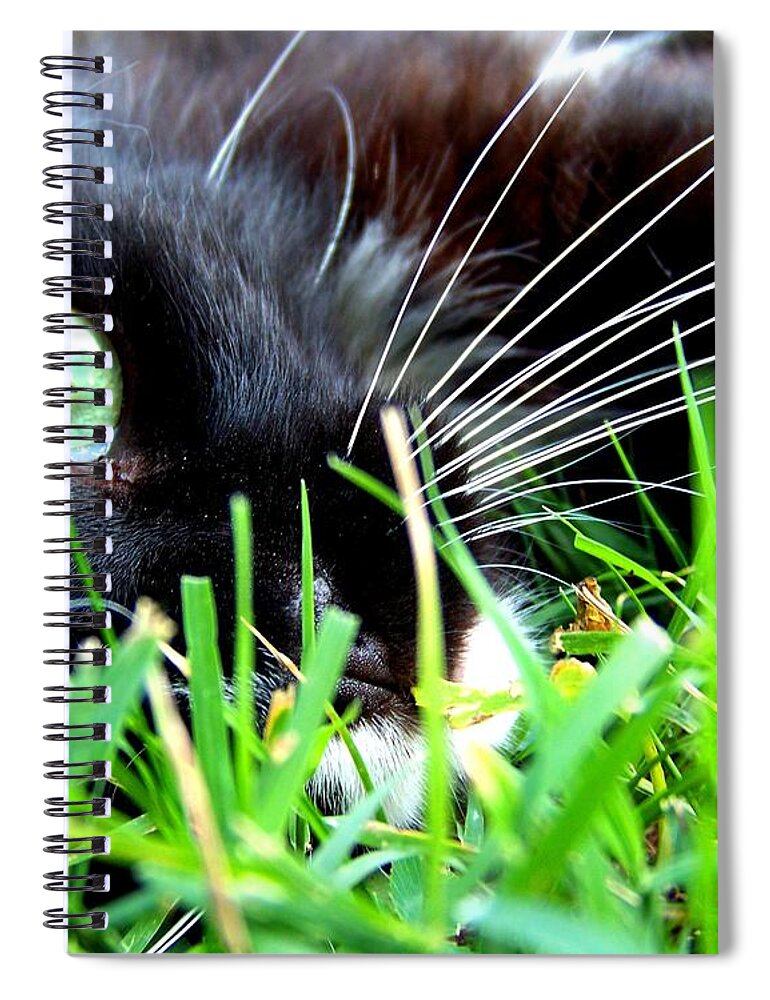 Cat Spiral Notebook featuring the photograph In The Grass by Jai Johnson