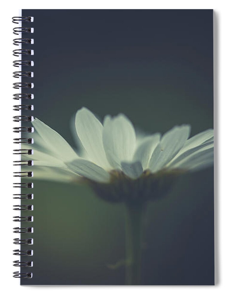 Flower Spiral Notebook featuring the photograph In The Light by Shane Holsclaw