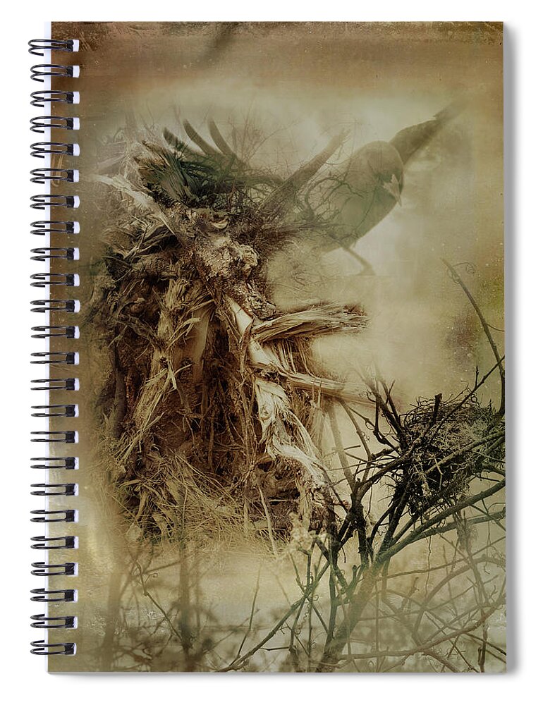 Woodlands Spiral Notebook featuring the photograph In The Wildwood by Sue Capuano