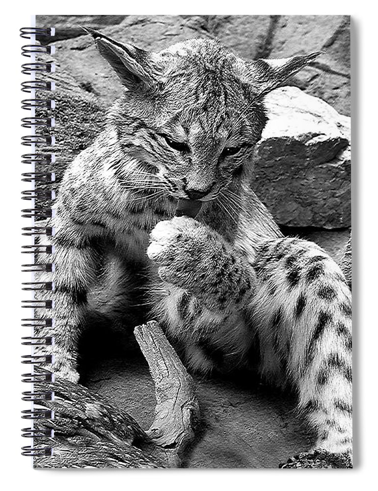 Diane Berry Spiral Notebook featuring the photograph In the Woods by Diane E Berry