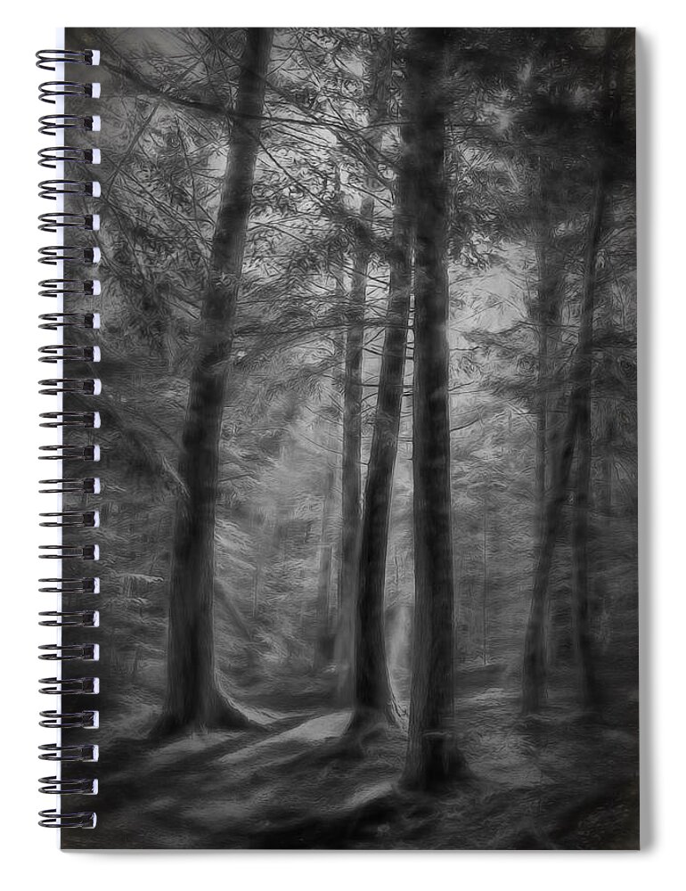 Trees Spiral Notebook featuring the photograph In the Woods by Phyllis Meinke