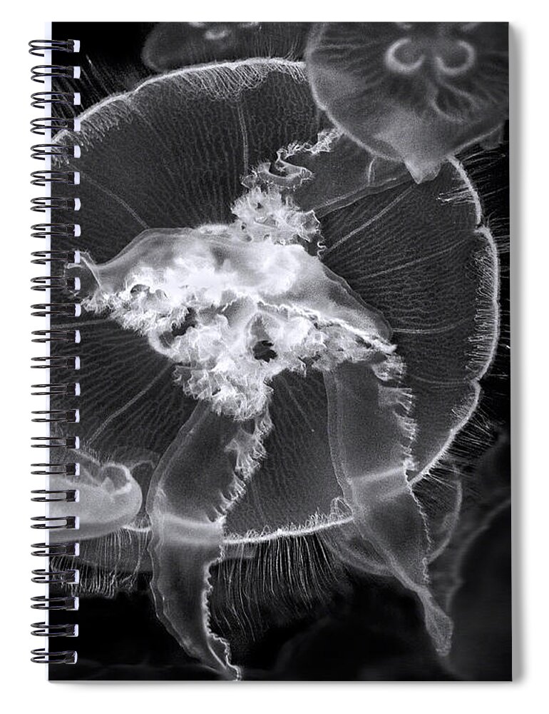 Art Spiral Notebook featuring the photograph Incoming bw by Denise Dube