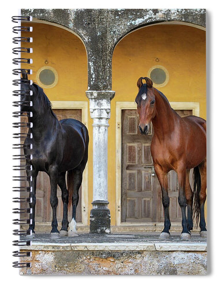 Russian Artists New Wave Spiral Notebook featuring the photograph Indian Princesses by Ekaterina Druz