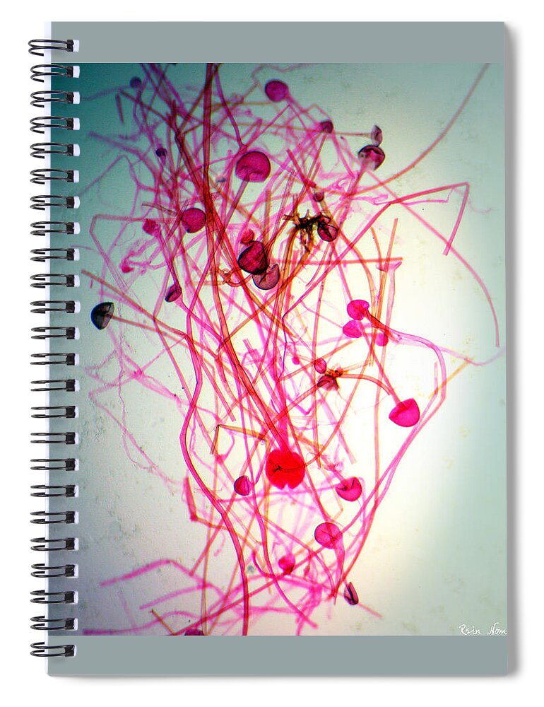  Spiral Notebook featuring the photograph Infectious Ideas by Rein Nomm