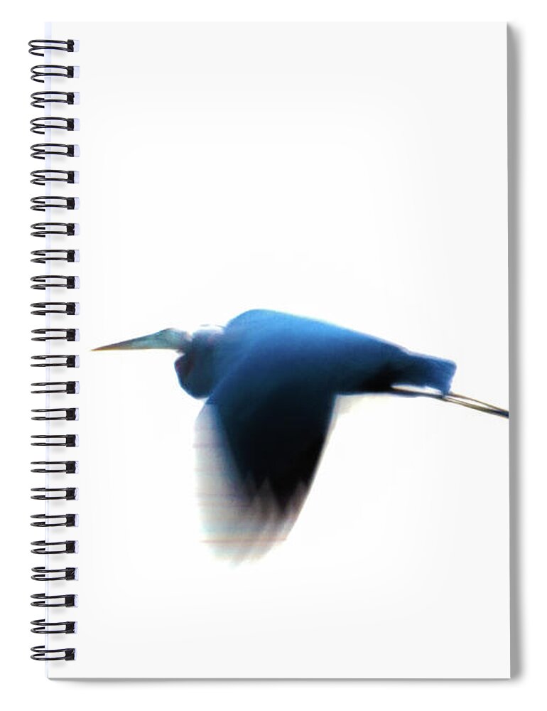 Heron Spiral Notebook featuring the photograph Inflight by William Norton