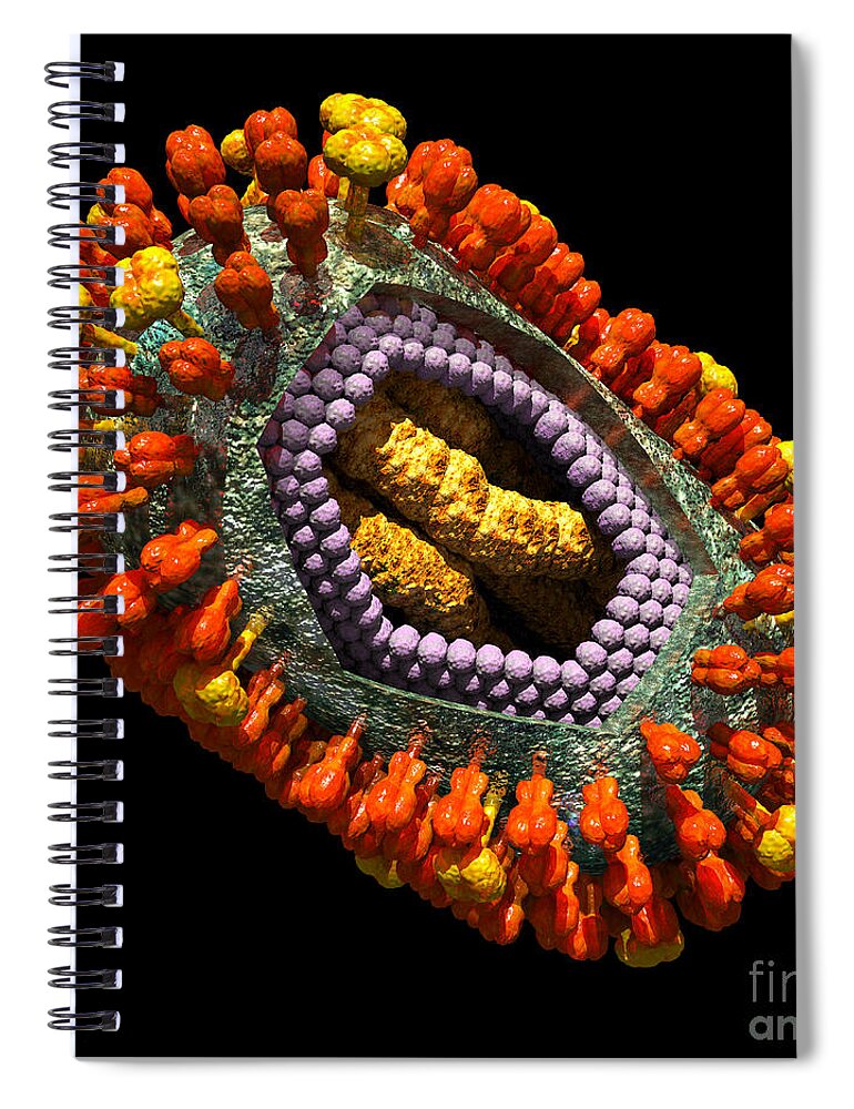 Biological Spiral Notebook featuring the digital art Influenza Virus Cutaway 5 by Russell Kightley