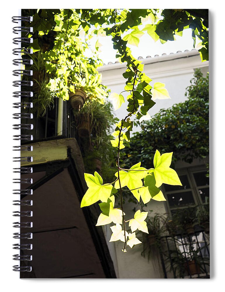 Barrio Carmen Spiral Notebook featuring the photograph Inner Courtyard In El Carmen Valencia by For Ninety One Days