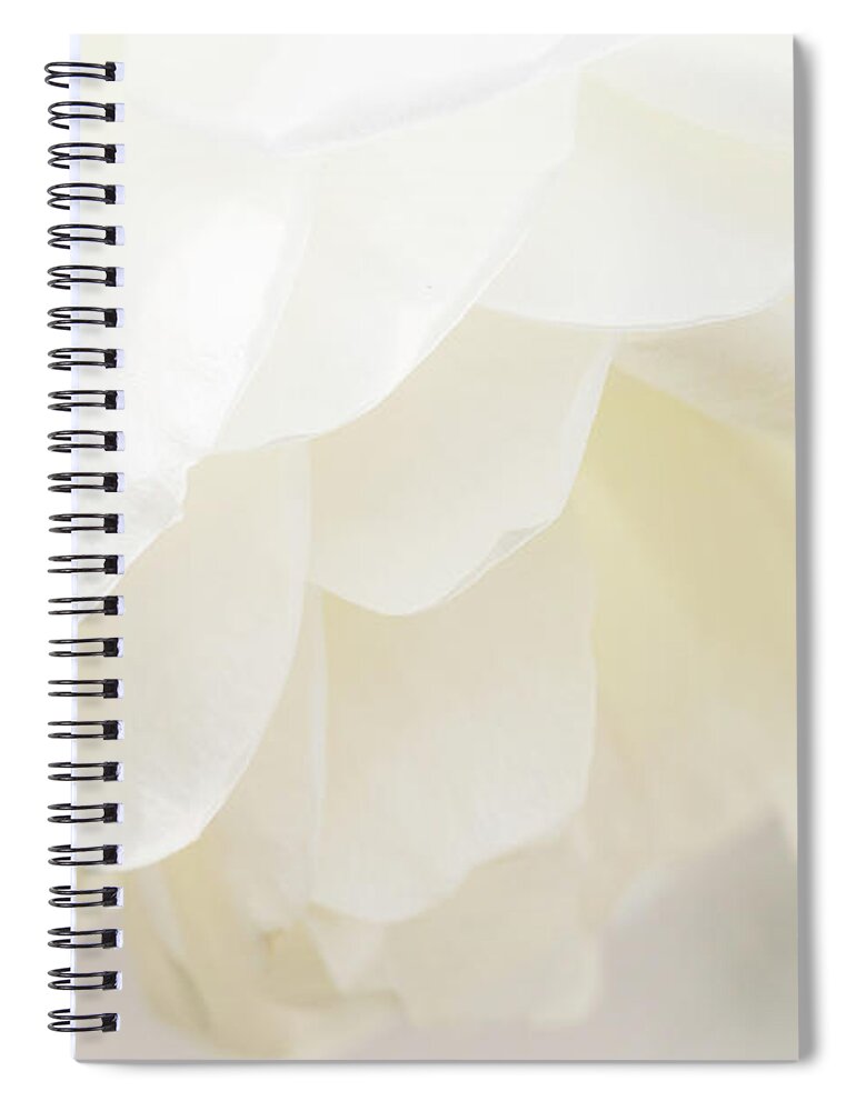 White Spiral Notebook featuring the photograph Innocent by Holly Ross