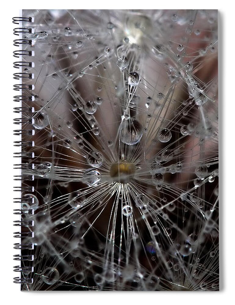 Universe Spiral Notebook featuring the photograph Inside a Universe by Farol Tomson