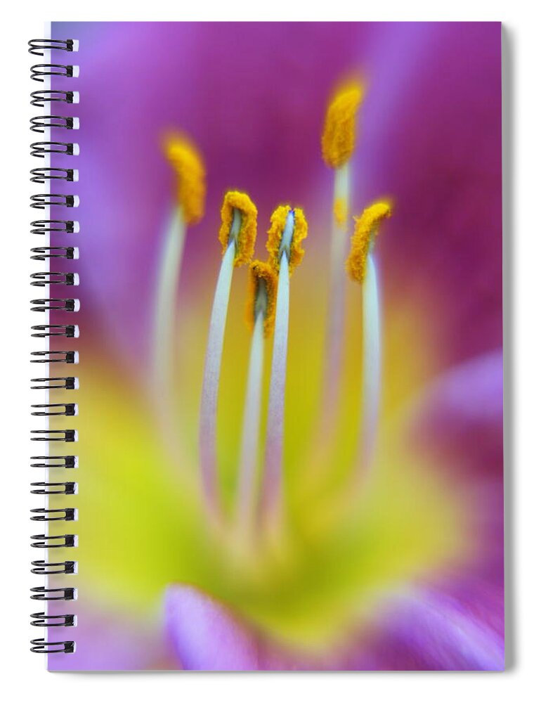 Lily Spiral Notebook featuring the photograph Inside Lily by Imagery-at- Work