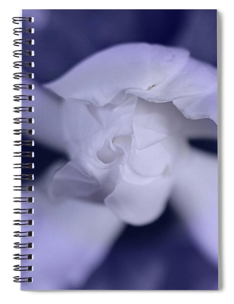 White Flower Petals Spiral Notebook featuring the photograph Inspired by Ella Kaye Dickey