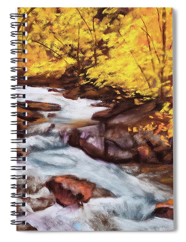 Autumn Spiral Notebook featuring the painting Intimate View by Sandi Snead