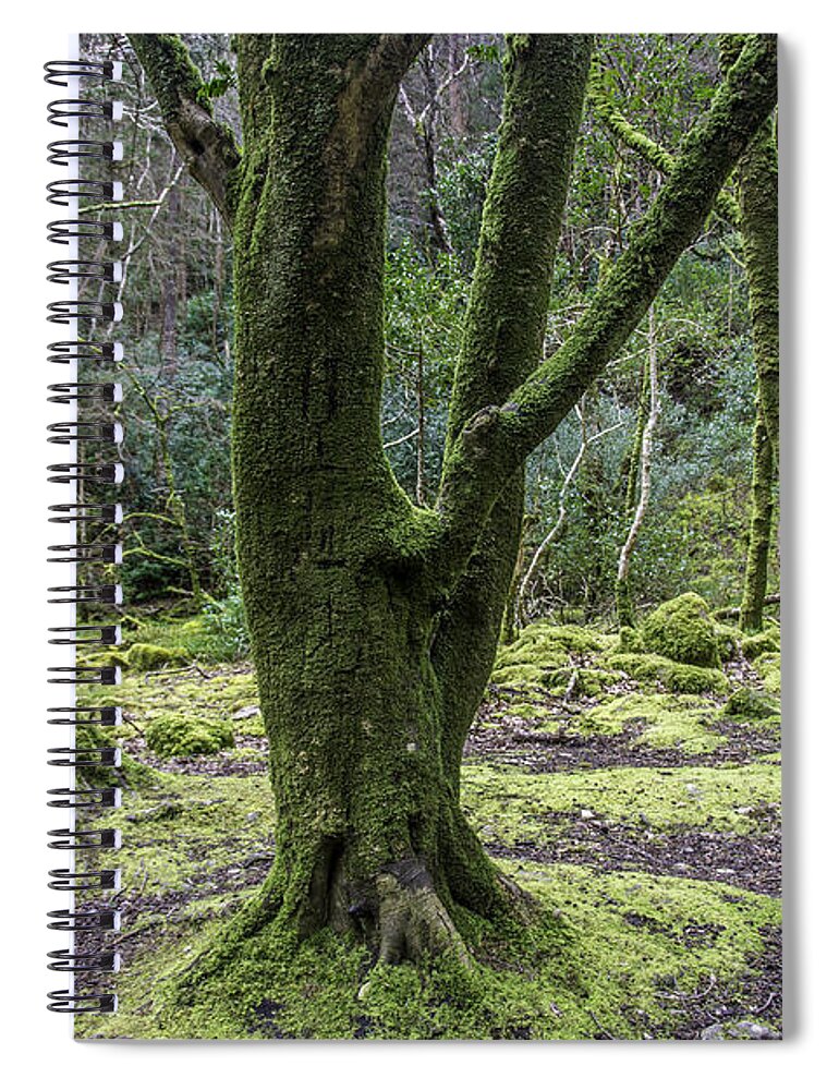 Original Spiral Notebook featuring the photograph Into the Irish woods by WAZgriffin Digital