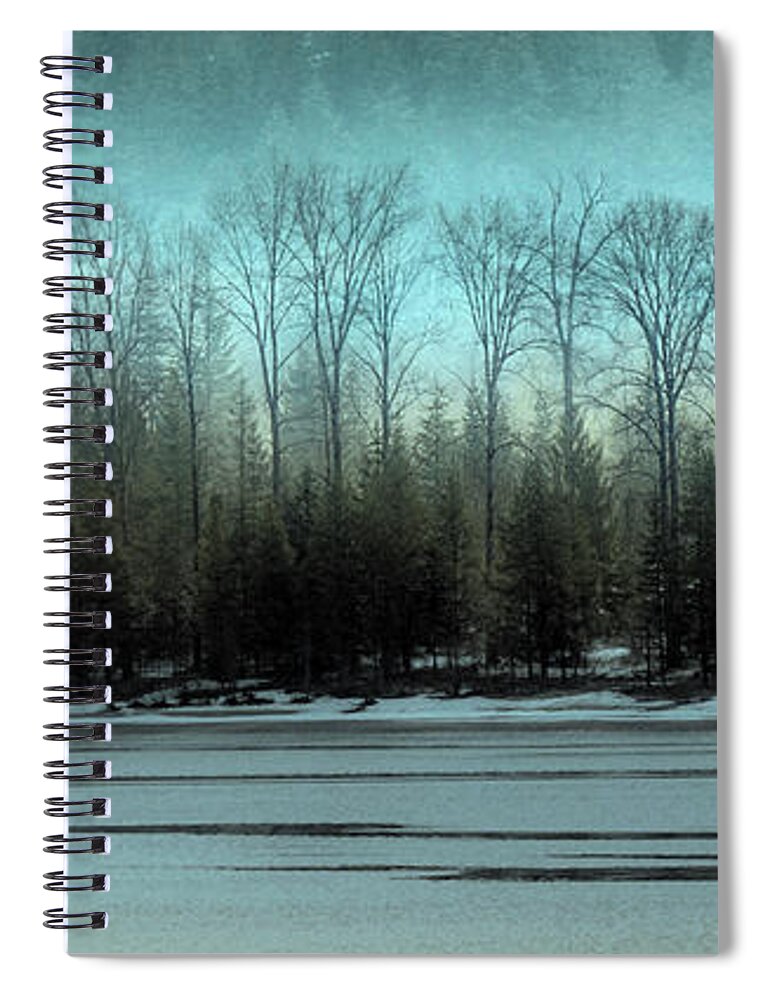 Trees Spiral Notebook featuring the photograph Into The Mystic Too by Joy McAdams