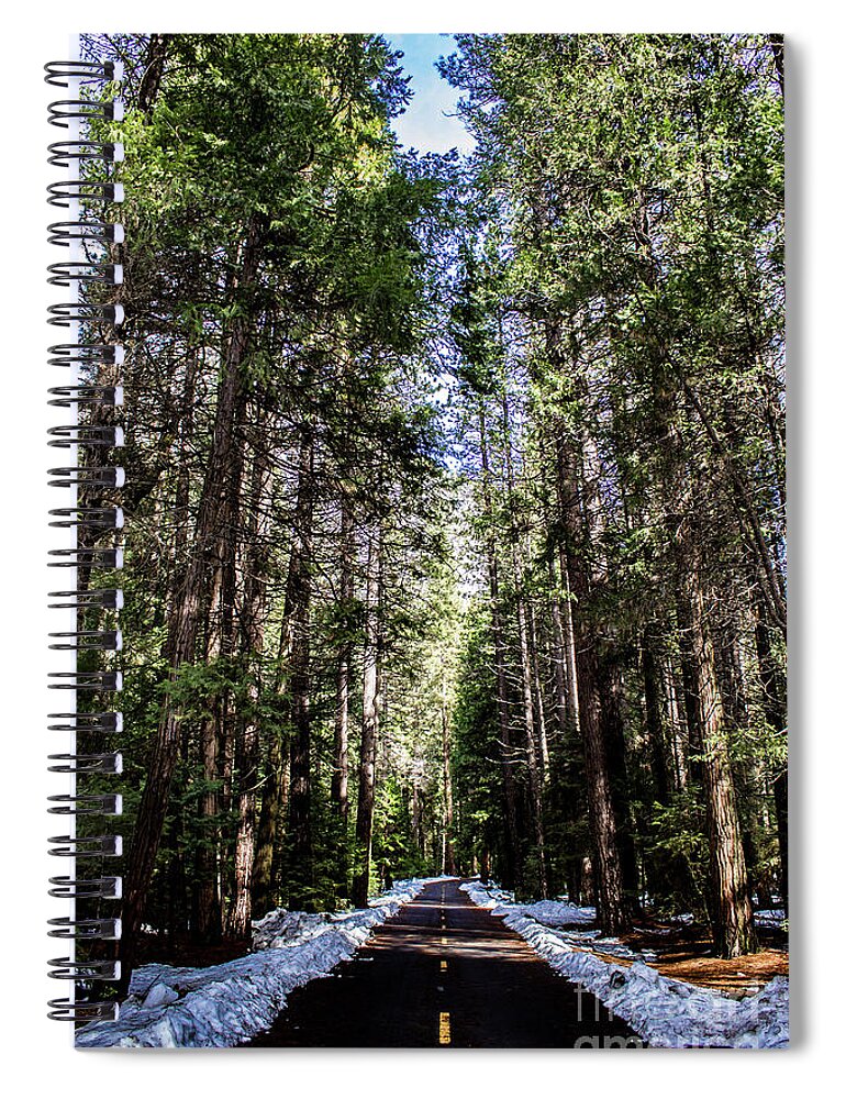 Landscape Spiral Notebook featuring the photograph Into the Woods by Adam Morsa