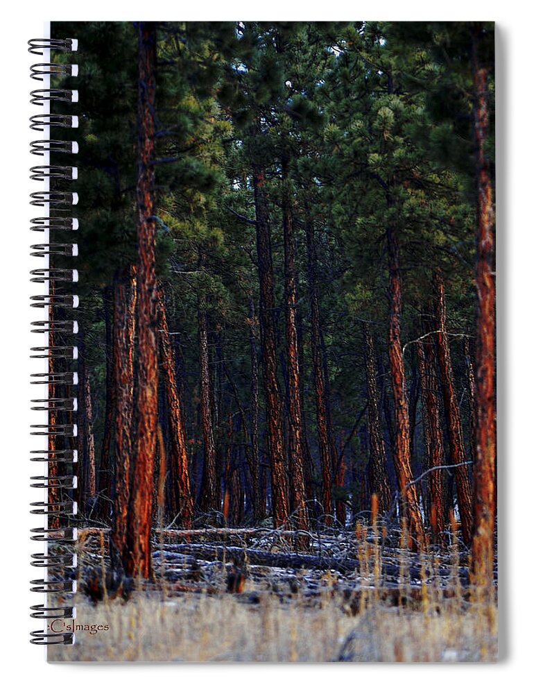 Landscape Spiral Notebook featuring the digital art Into the Woods by Kae Cheatham