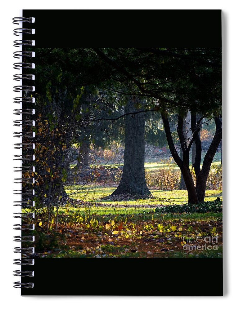 Frank J Casella Spiral Notebook featuring the photograph Intrigued by the Light by Frank J Casella