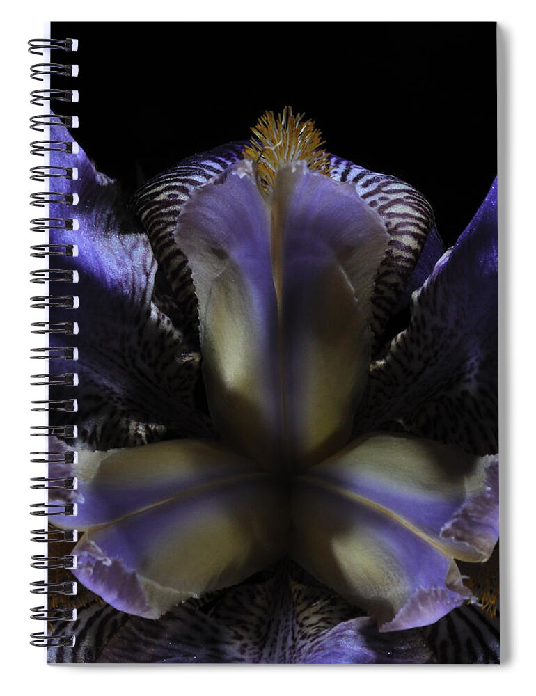 Iris Spiral Notebook featuring the photograph Iris Aglow by Mark Fuller