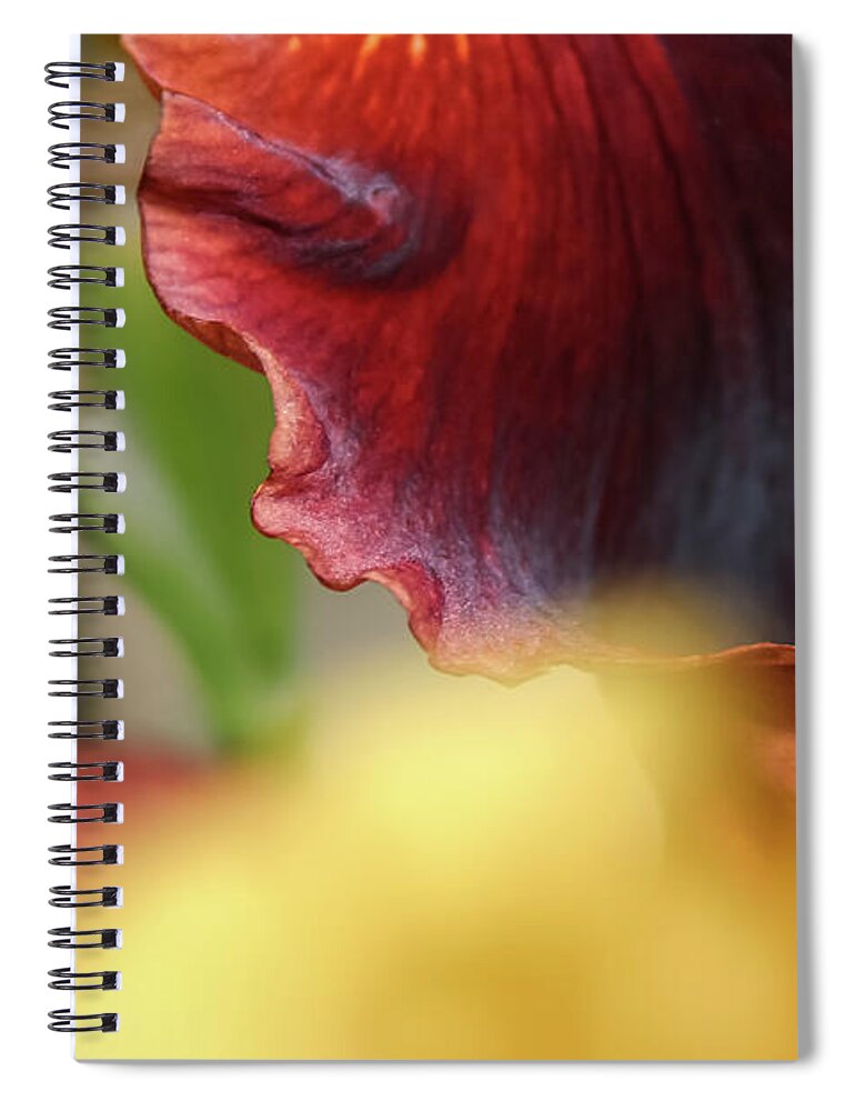 Iris Spiral Notebook featuring the photograph Iris Petals 2 - by Julie Weber