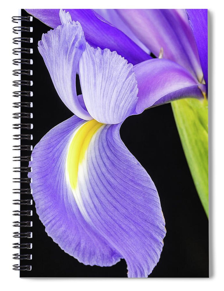 Iris Spiral Notebook featuring the photograph Iris Petals by Georgette Grossman