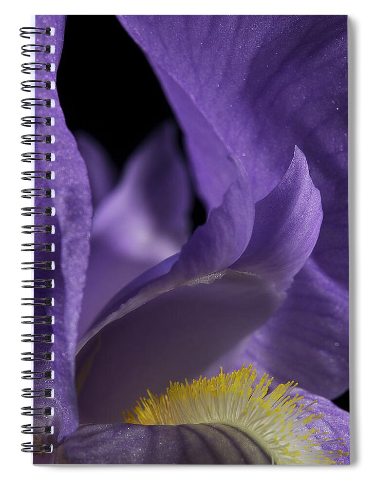 Purple Iris Spiral Notebook featuring the photograph Iris Series 2 by Mike Eingle