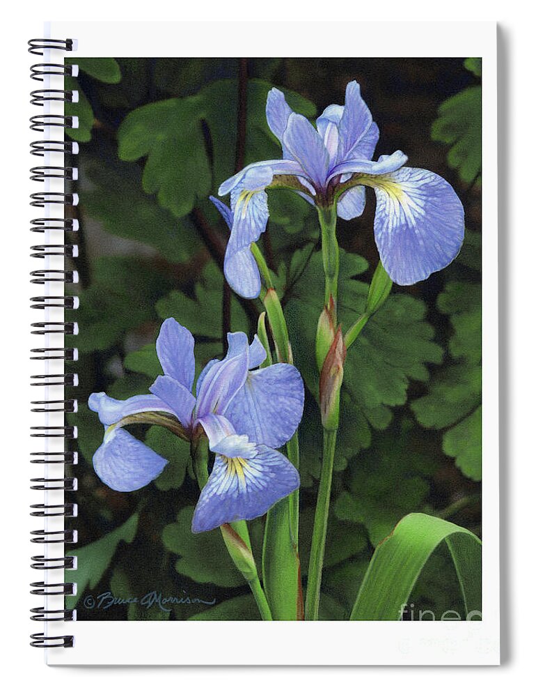 Iris Spiral Notebook featuring the drawing Iris Study by Bruce Morrison