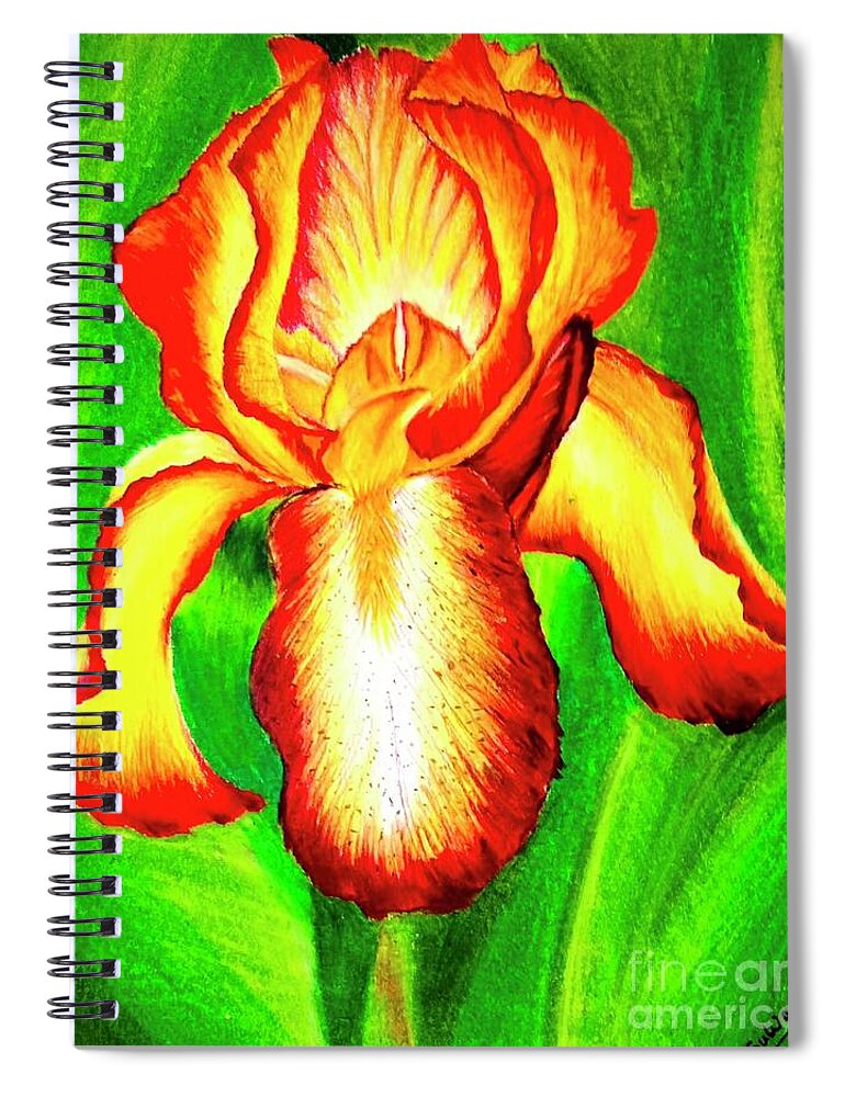 Iris Spiral Notebook featuring the painting Iris by Sudakshina Bhattacharya