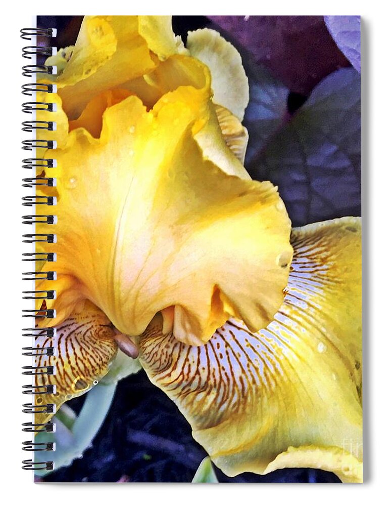 Macro Spiral Notebook featuring the photograph Iris Supreme by Vonda Lawson-Rosa