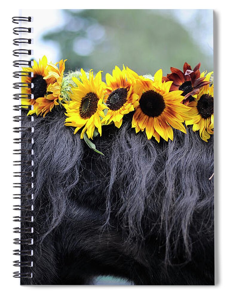 Rosemary Farm Spiral Notebook featuring the photograph Isabelle and the Sunflowers by Carien Schippers