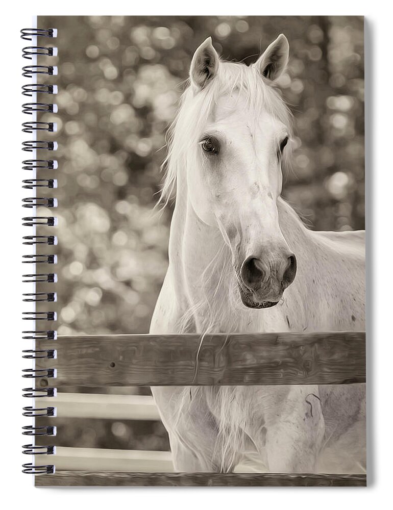 Horse Spiral Notebook featuring the photograph Isabelle by Bill and Linda Tiepelman